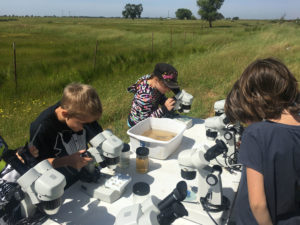 Kids looking in microscopes