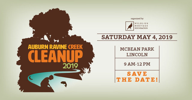 Creek Cleanup 2019