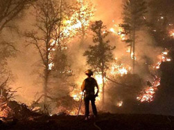 CA Wildfires