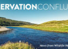Conservation Confluence