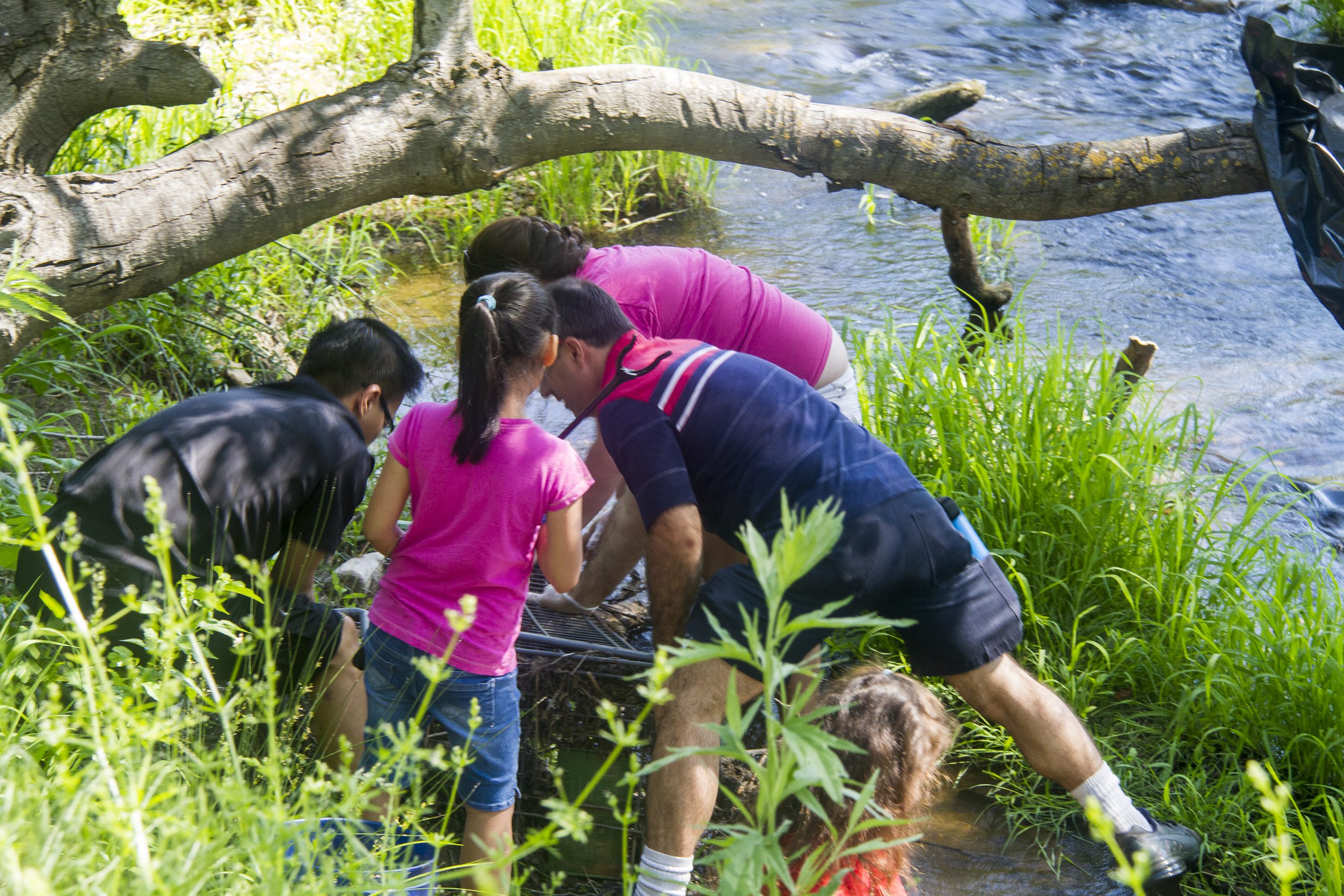 Man and youth cleaning up ravine