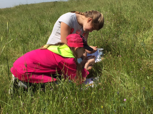 Two young girls crouched bent down in grassy field